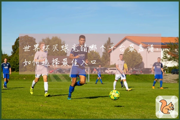 世界杯买球竞猜哪个平台最靠谱,如何选择最佳入口
