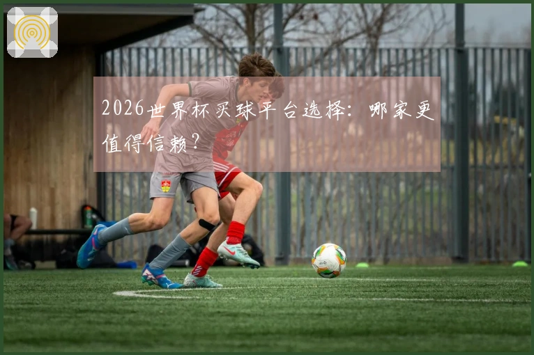 2026世界杯买球平台选择：哪家更值得信赖？