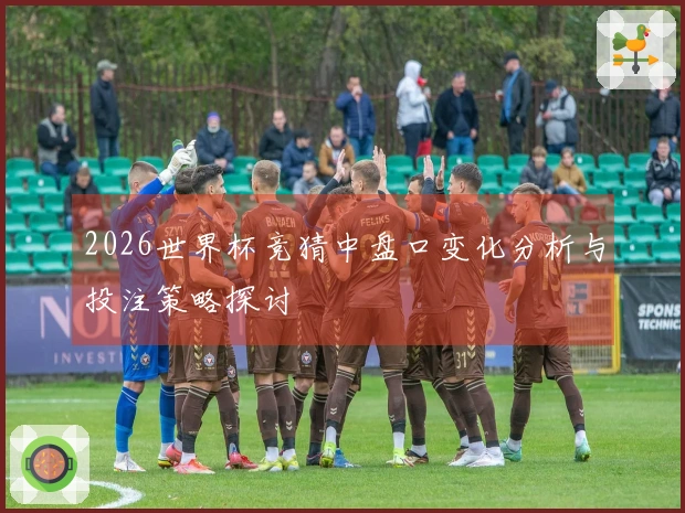 2026世界杯竞猜中盘口变化分析与投注策略探讨