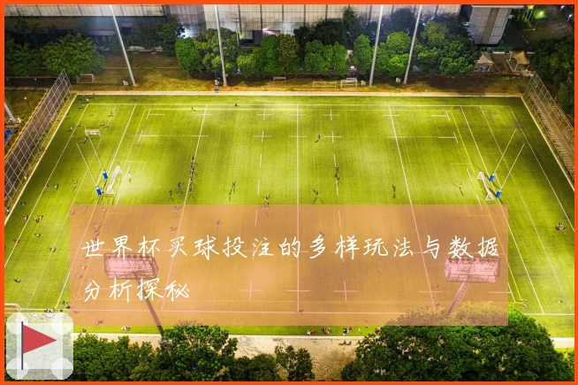 世界杯买球投注的多样玩法与数据分析探秘