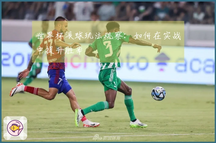 世界杯滚球玩法观察：如何在实战中提升胜率