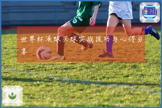 世界杯滚球买球实战技巧与心得分享
