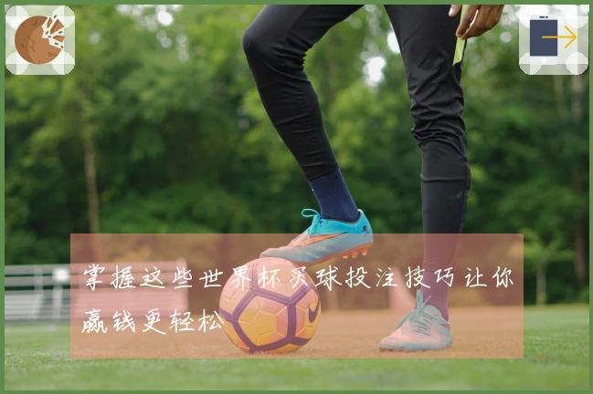 掌握这些世界杯买球投注技巧让你赢钱更轻松